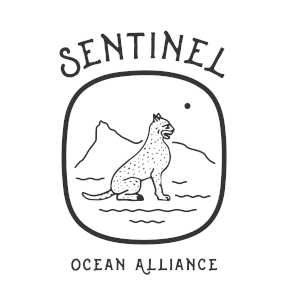sentinel-ocean-alliance